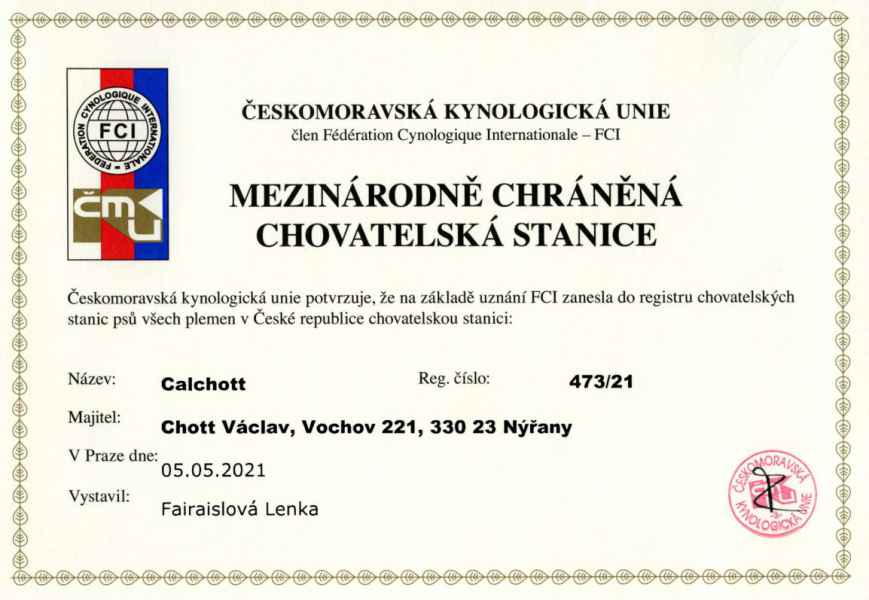 Certifikát chovatelské stanice – appenzelský salašnický pes